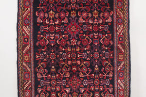 3.5x10 Persian Rug | SHAHBOD