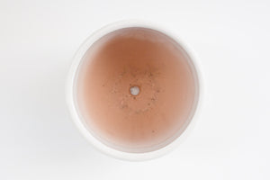 7" Pot / Planter - Gloss White Bell