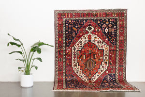 6.5x9 Persian Baktiari Rug | AFRAND