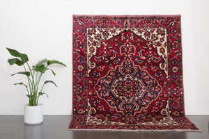 7x9.5  Persian Rug | DADMEHR