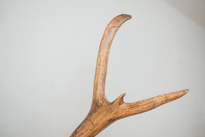 Large Elk Antlers