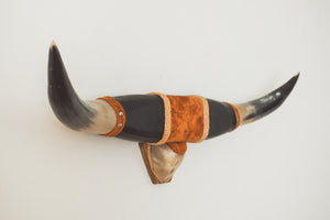 Vintage Longhorns