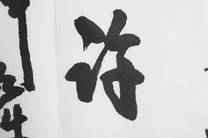 Japanese Calligraphy Art