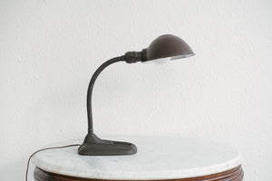 Deco Gooseneck Lamp