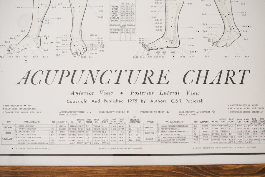 70s Acupuncture Chart