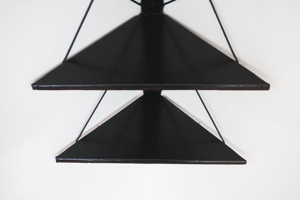 Hamidollah 2 Piece Triangle Metal Corner Shelf (Set of 2) Rebrilliant Finish: Black