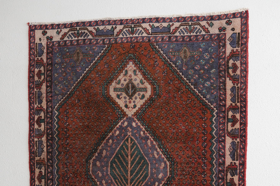 5x7 Persian Rug | PARSA