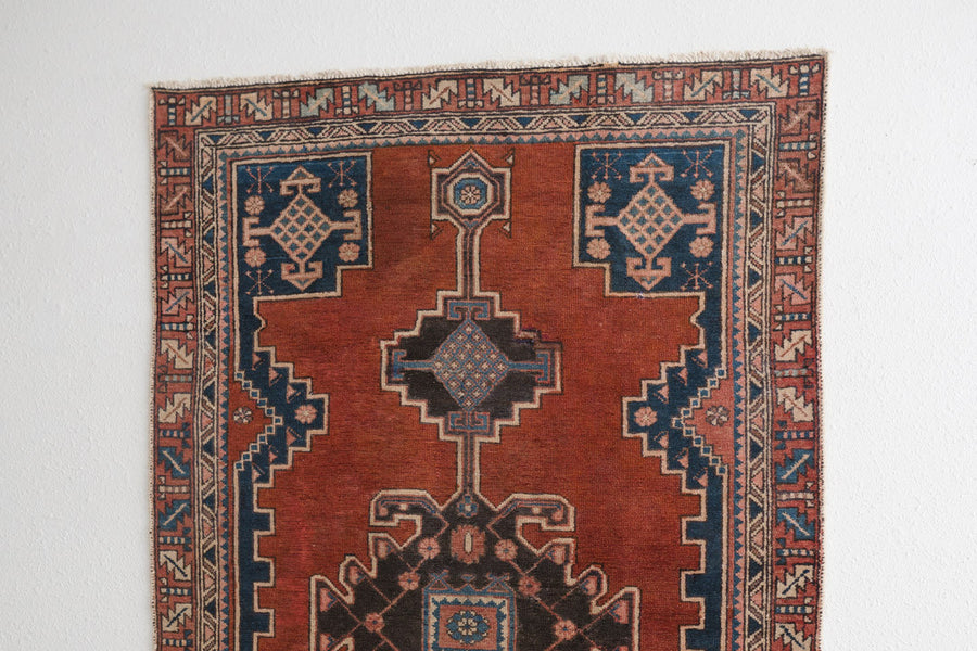 4x6 Persian Rug | HESAM