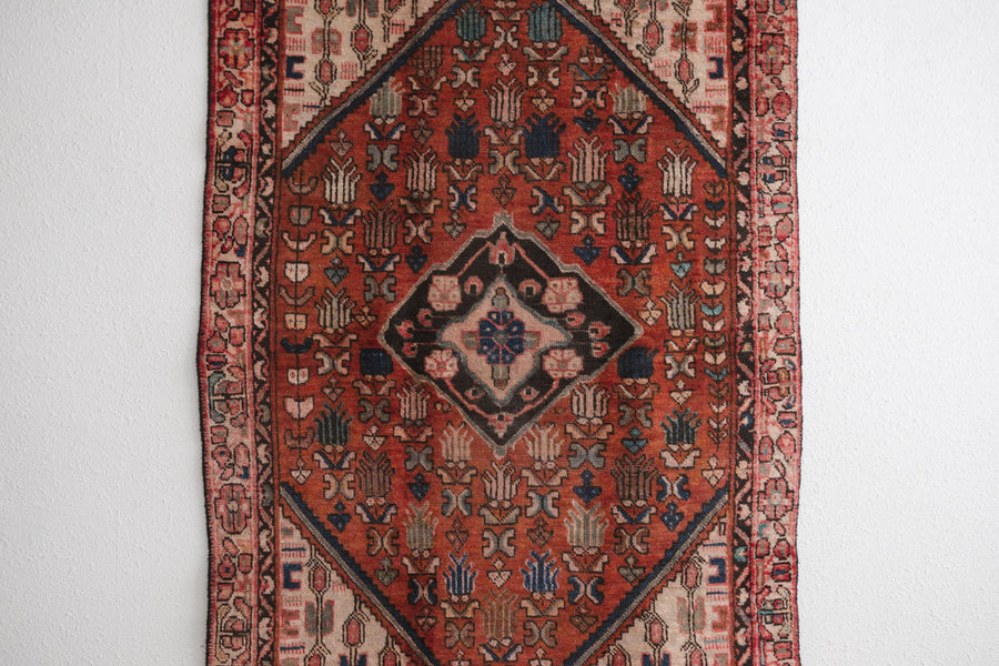 4x6 Persian Rug | HORMOZ