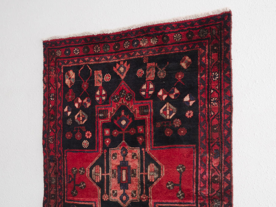 4x9 Persian Rug | ASIM