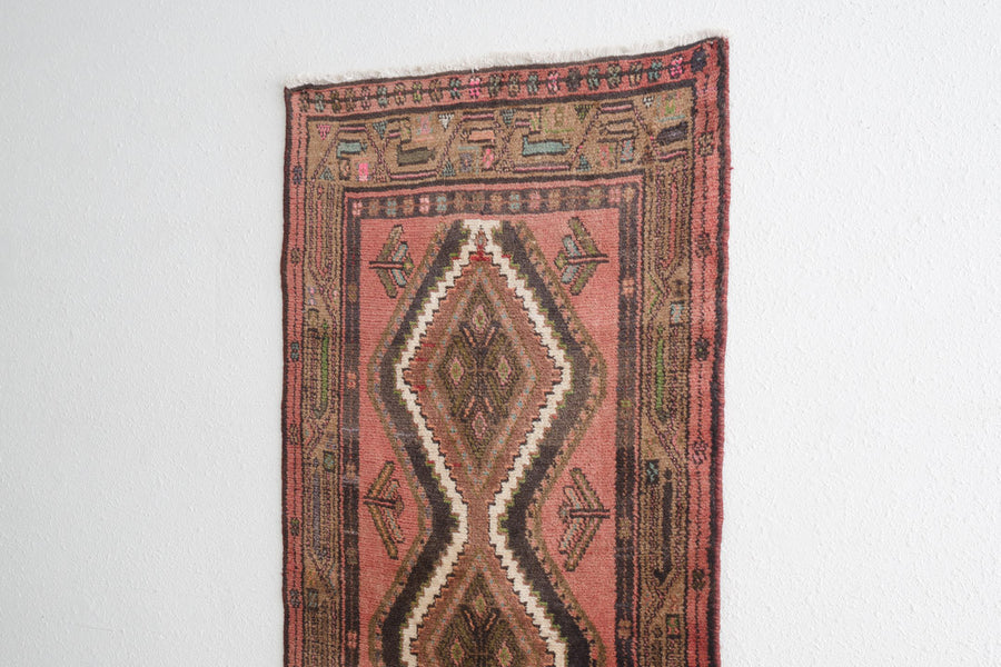 3x10 Persian Rug | CASPAR