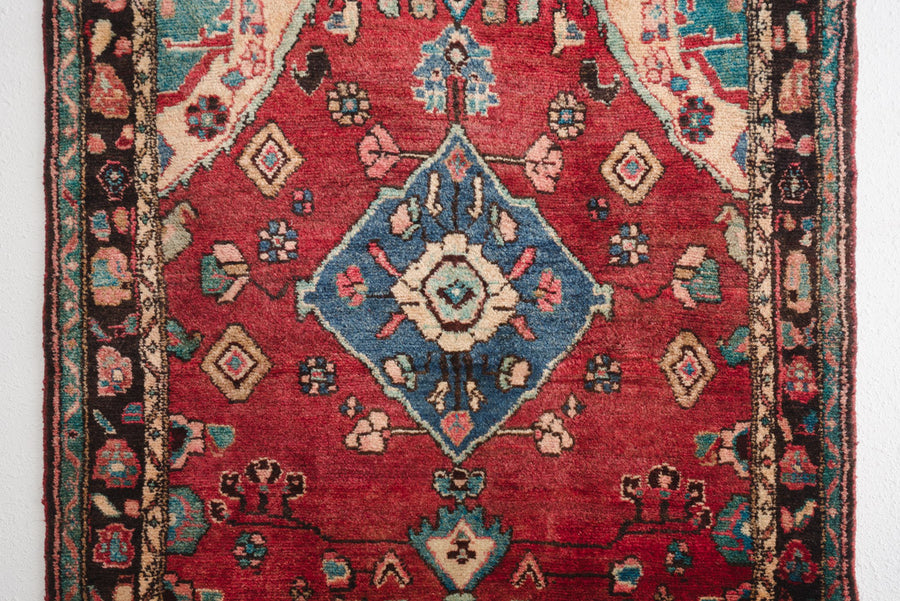 4x9 Persian Rug | ROKSANA