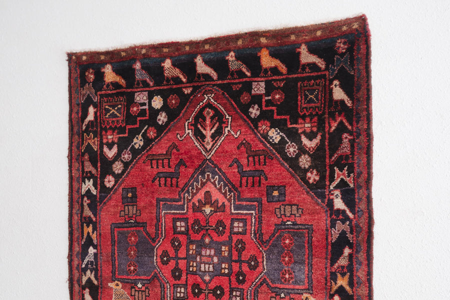 4x9 Persian Rug | NAVID