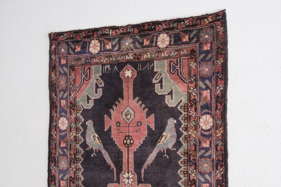 3.5x10 Persian Rug | PARANDE