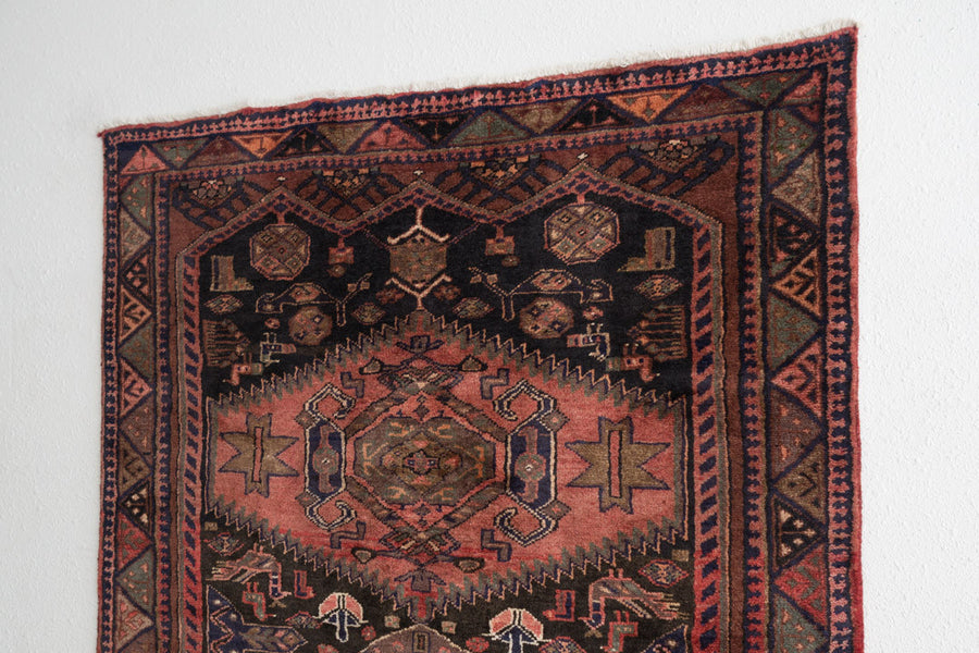 4x7 Persian Rug | SHAHNIN