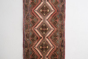 3x9 Persian Rug | HESTER