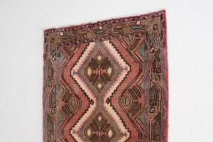 3x9 Persian Rug | HESTER