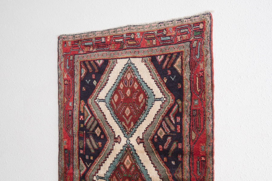 3x10 Persian Rug | GUL