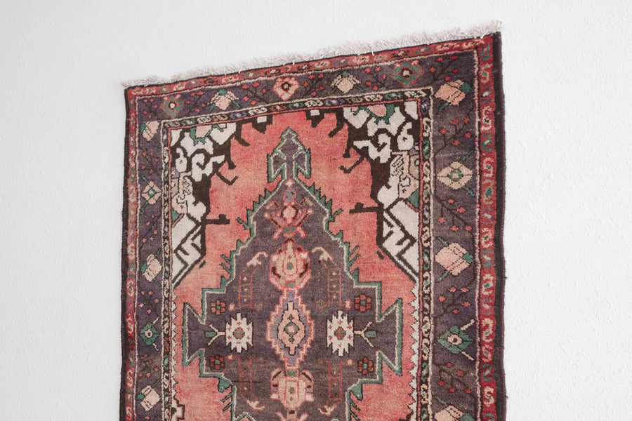 3.5x10 Persian Rug | ESFIR