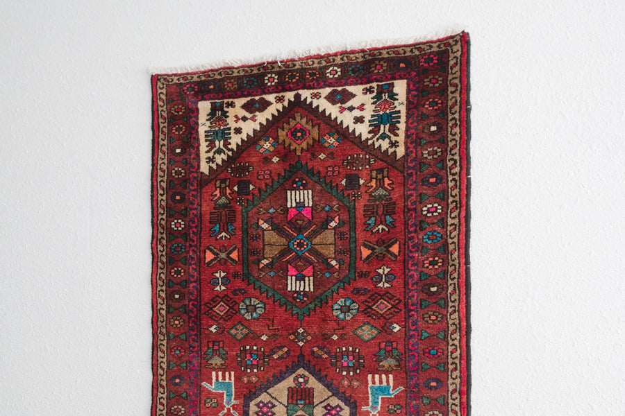 3x9 Persian Rug | ARDO