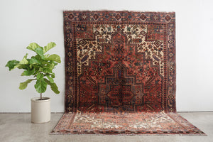 7x10 Persian Rug | ADVI