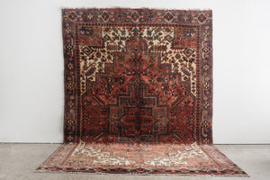 7x10 Persian Rug | ADVI