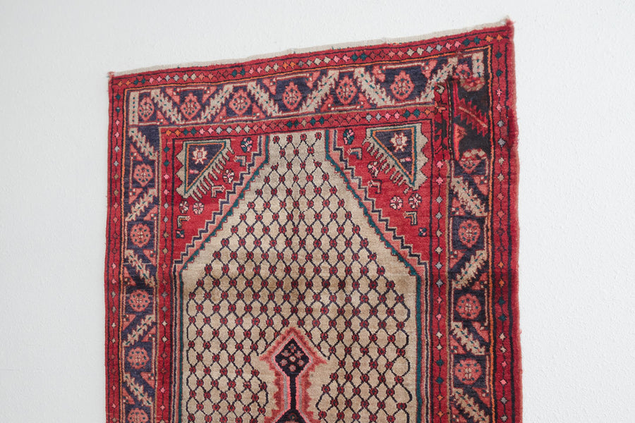 4x9 Persian Rug | RUSTUM