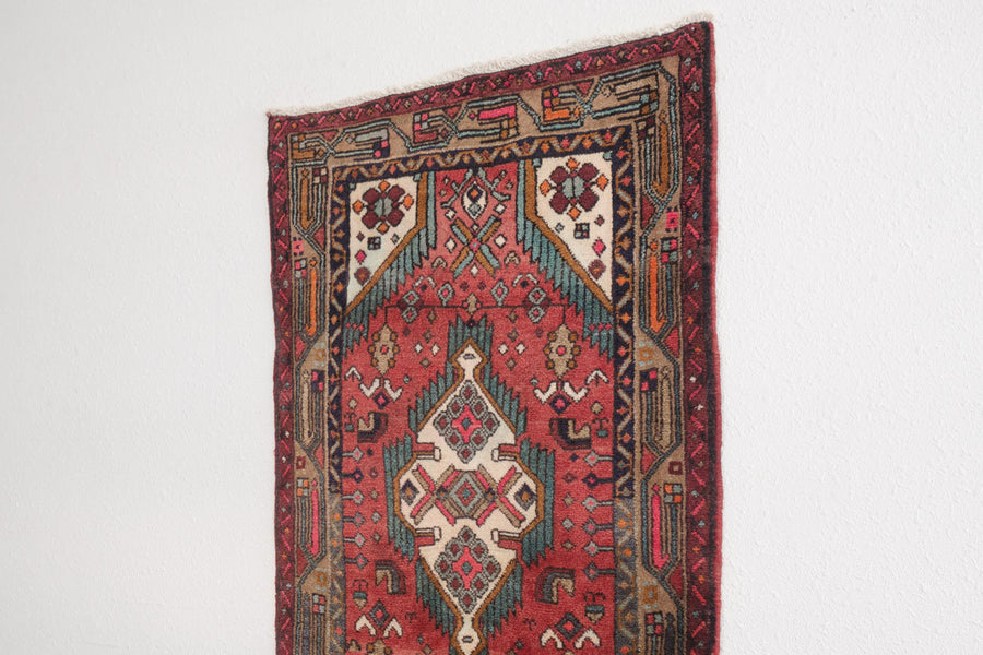 3x9 Persian Rug | RAHAM