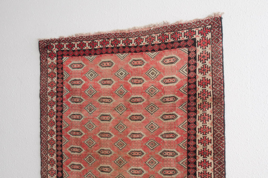 4x7 Persian Rug | ZONI