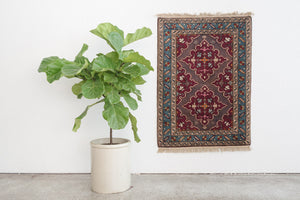 3x4 Turkish Rug | SAVAS