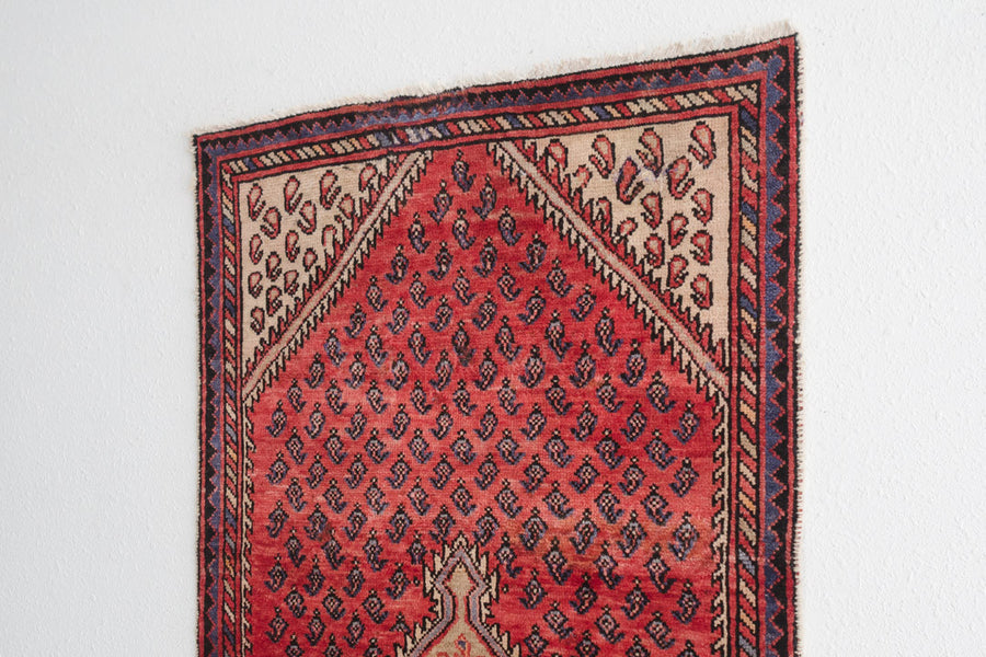 3x6 Persian Rug | SAREH