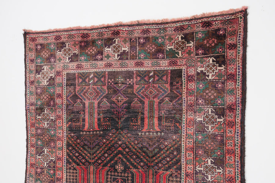 4.5x9 Persian Rug | SIVAND