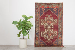 4x7.5 Turkish Rug | FETHI