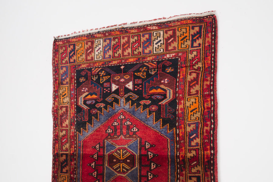 3.5x10 Persian Rug | JAVAD