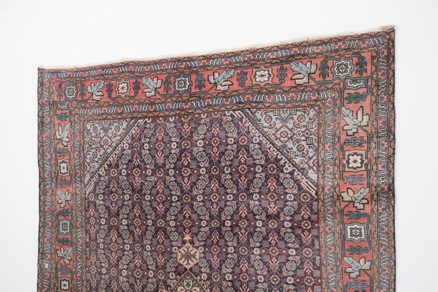 6.5x9 Persian Rug | ARMITA