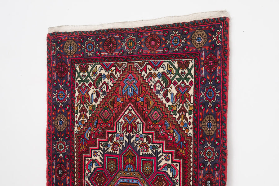 2x4 Persian Rug | ANAHITA