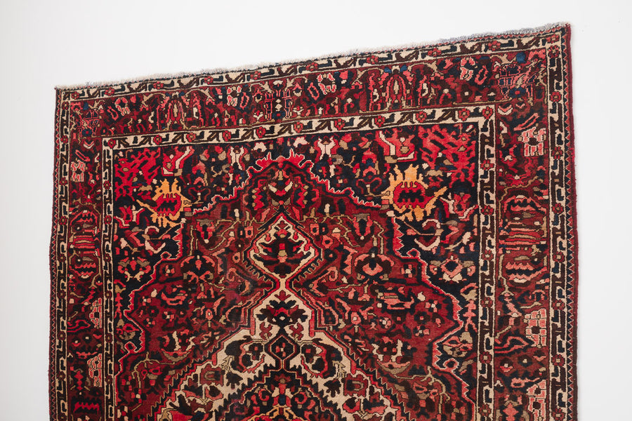 7x10 Persian Rug | BEENA