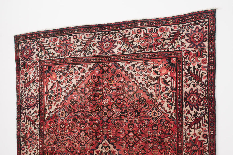 6.5x10 Persian Rug | AKHTAR