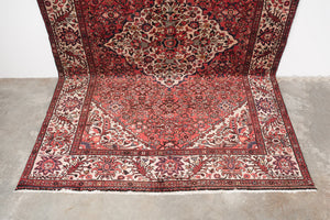 6.5x10 Persian Rug | AKHTAR