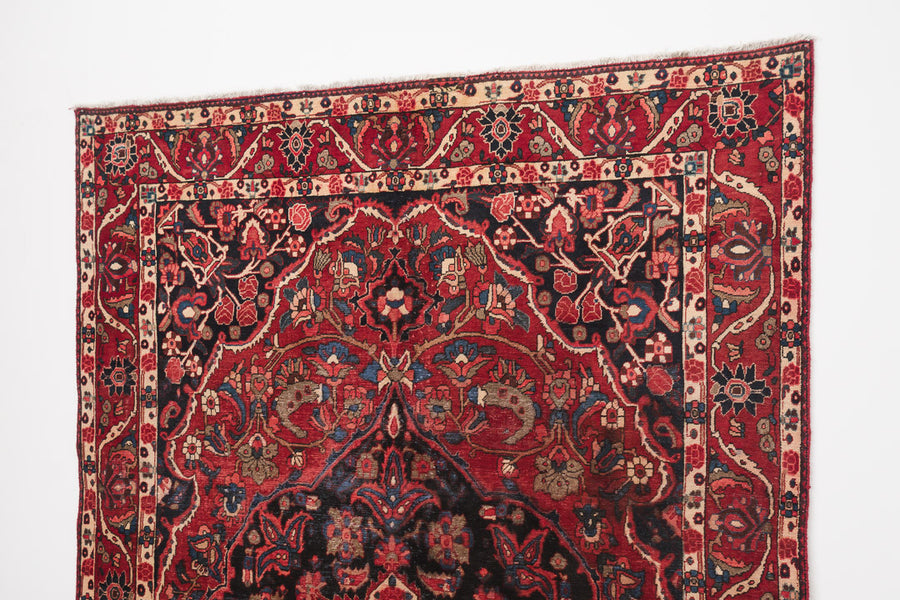 6.5x10 Persian Rug | ALALEH