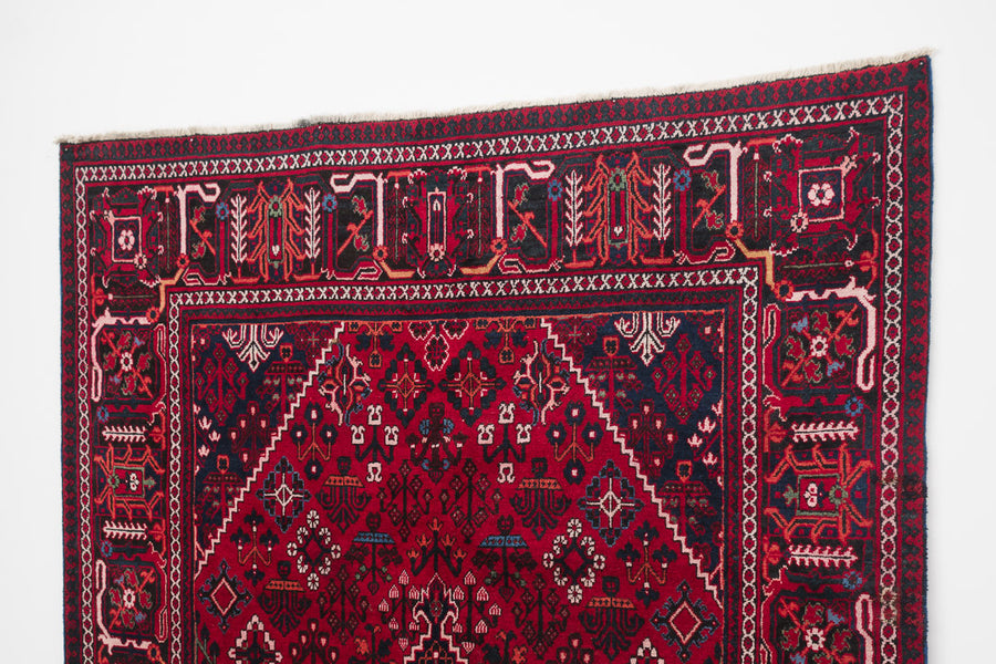 6.5x10 Persian Rug | ALMAZ