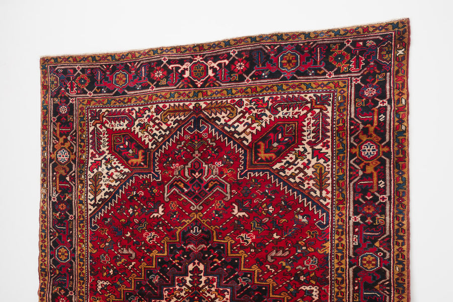 6.5x9 Persian Rug | ATUSA