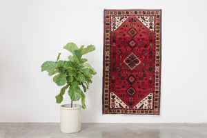 3x6 Persian Rug | DALIA