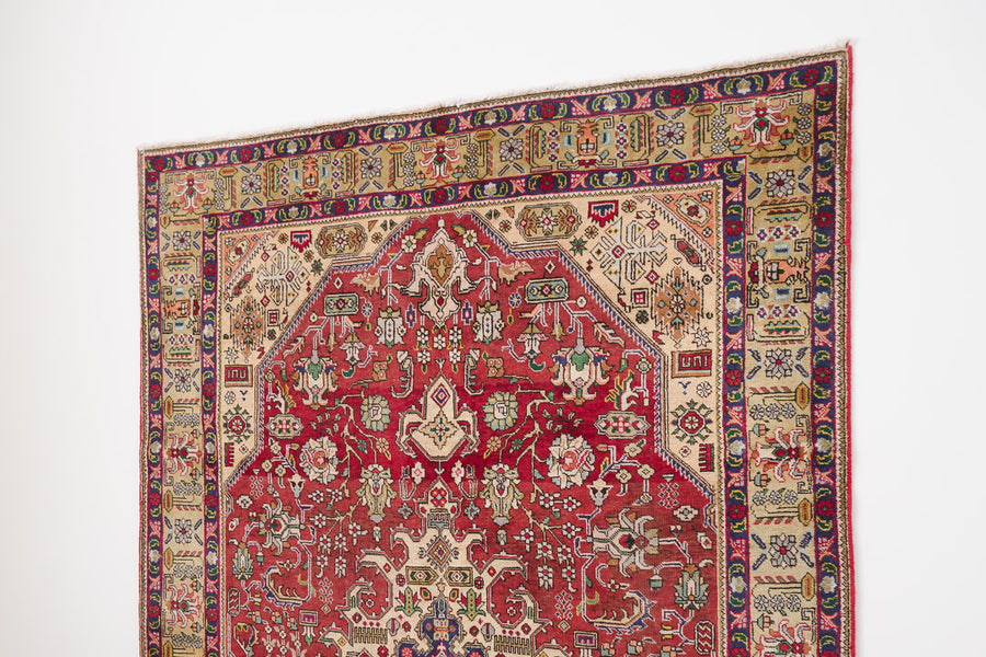 7x10 Persian Rug | FARAZ