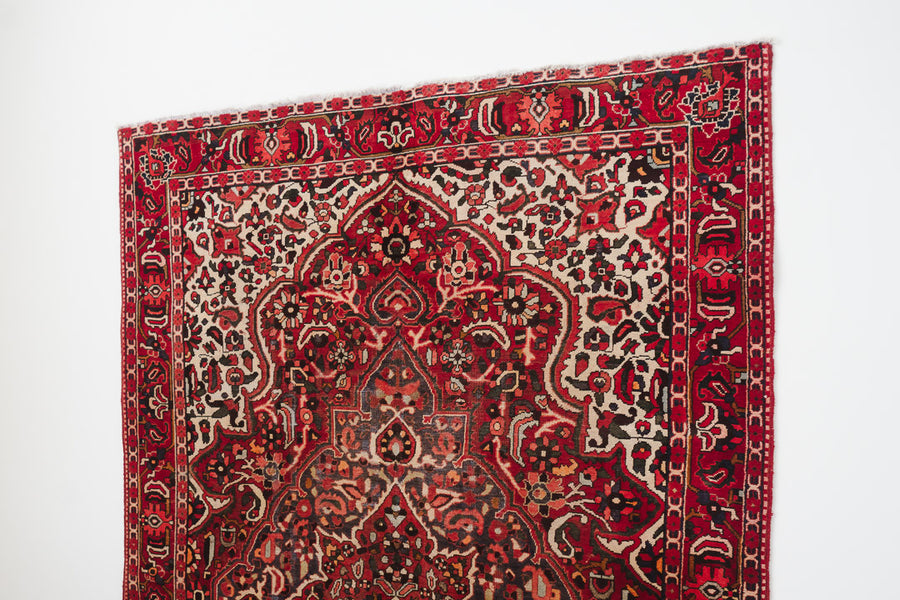 7x10 Persian Rug | DELBAZ