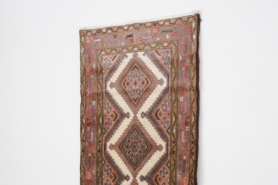 3x9 Persian Rug | HETTIE