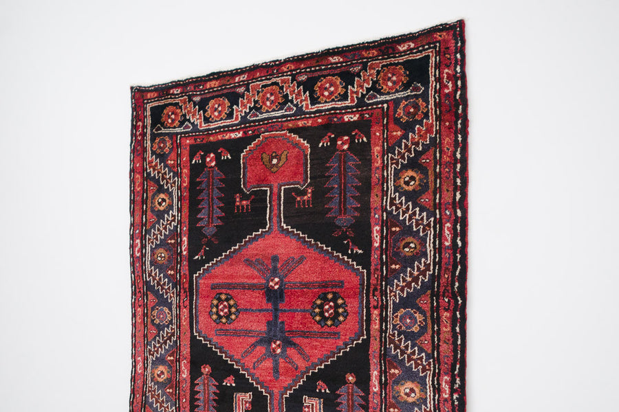 3.5x9.5 Persian Rug | FARINAZ