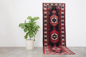 3.5x10 Persian Rug | BAMEEN