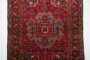 4.5x6.5 Persian Rug | HALA