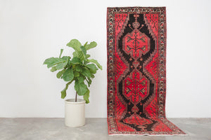 3.5x9 Persian Rug | AYANEH